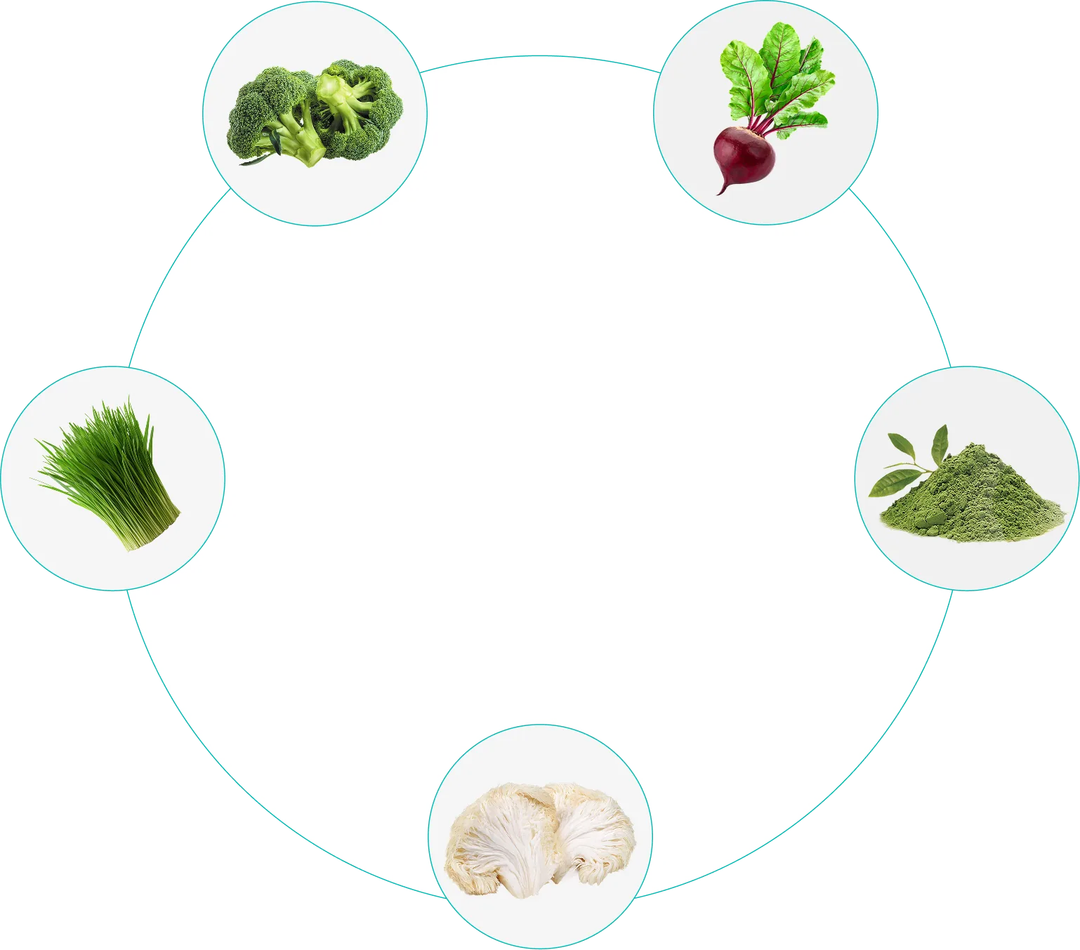 circle-image-1
