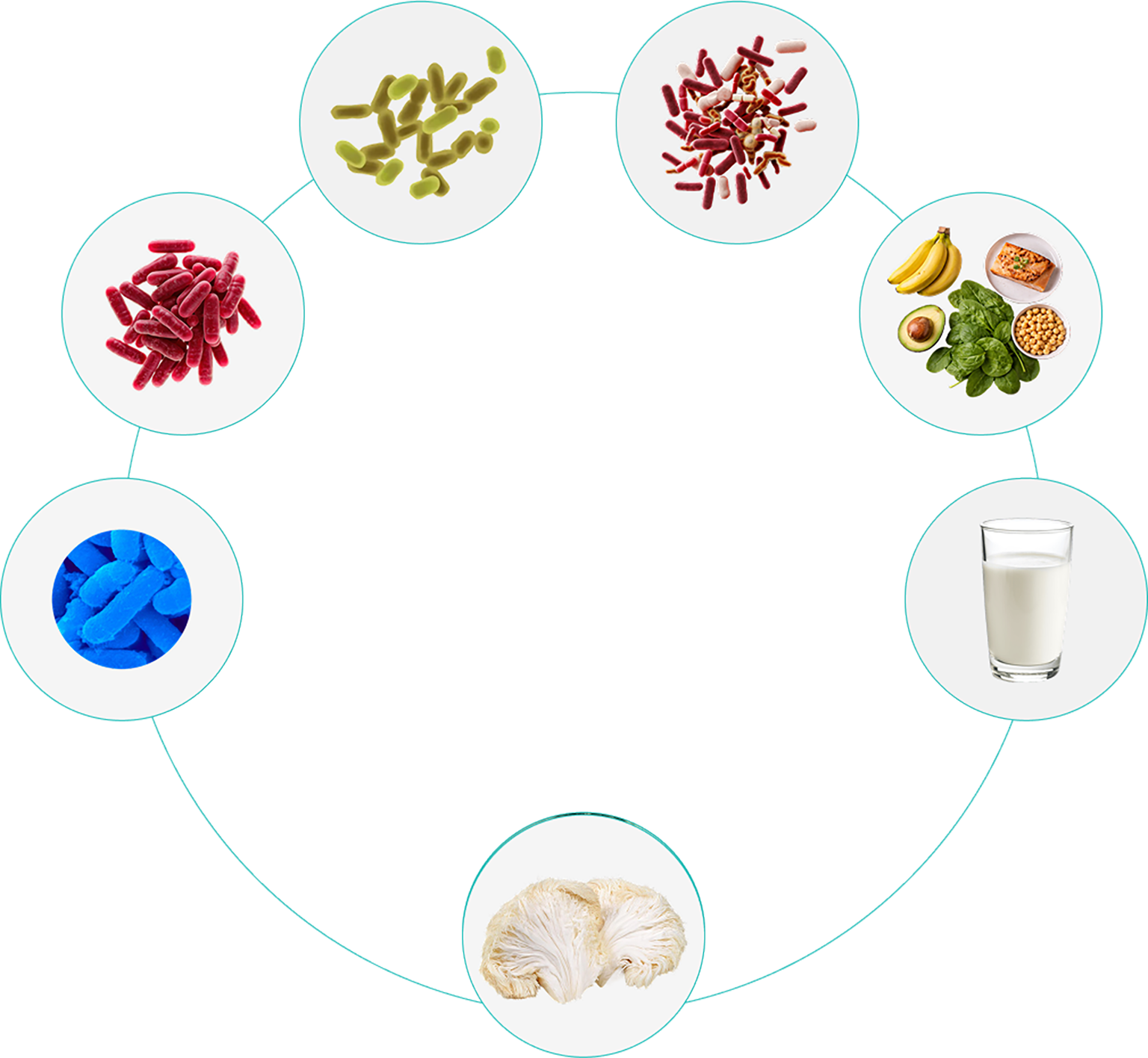 circle-image-1