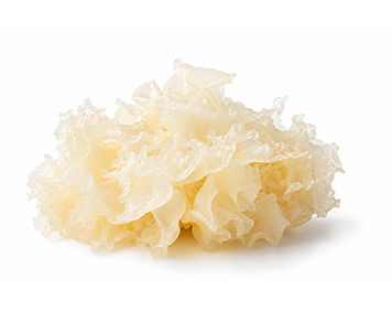 Tremella Mushroom